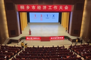 【菊鄉(xiāng)快評(píng)】經(jīng)濟(jì)工作大會(huì)上，桐鄉(xiāng)市委書記為何重點(diǎn)講巨石的電子布？